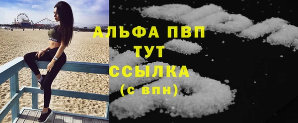 PSILOCYBIN Дмитриев