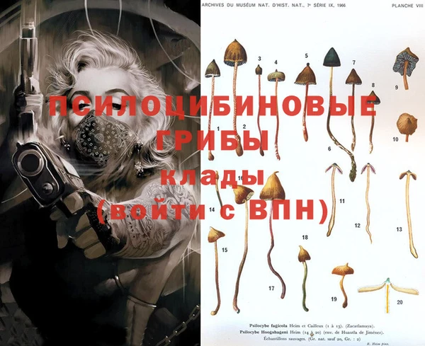 PSILOCYBIN Дмитриев