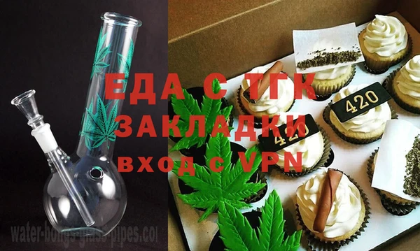 PSILOCYBIN Дмитриев