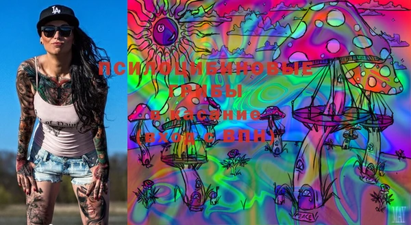 PSILOCYBIN Дмитриев