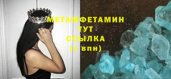 PSILOCYBIN Дмитриев