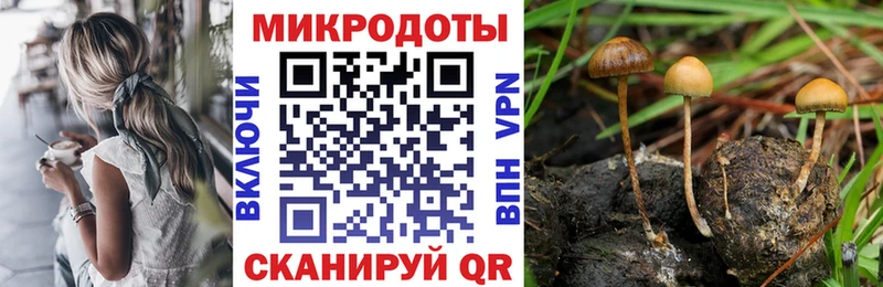 Купить где  Ялта  Галлюциногенные грибы Psilocybine cubensis 